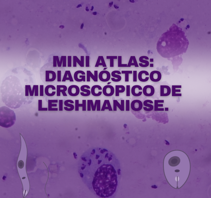 Atlas Leishmaniose