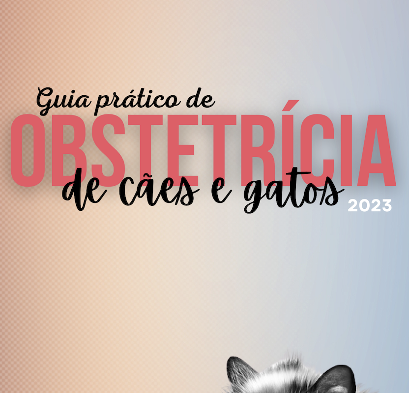 Guia Obstetrícia
