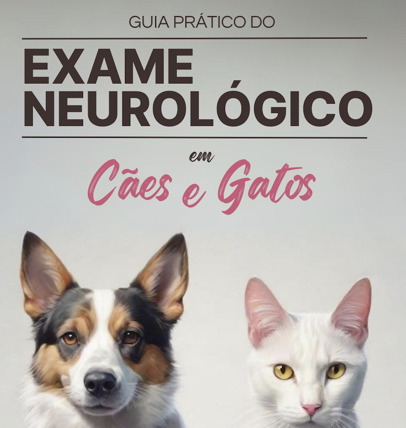 Guia Neurologia