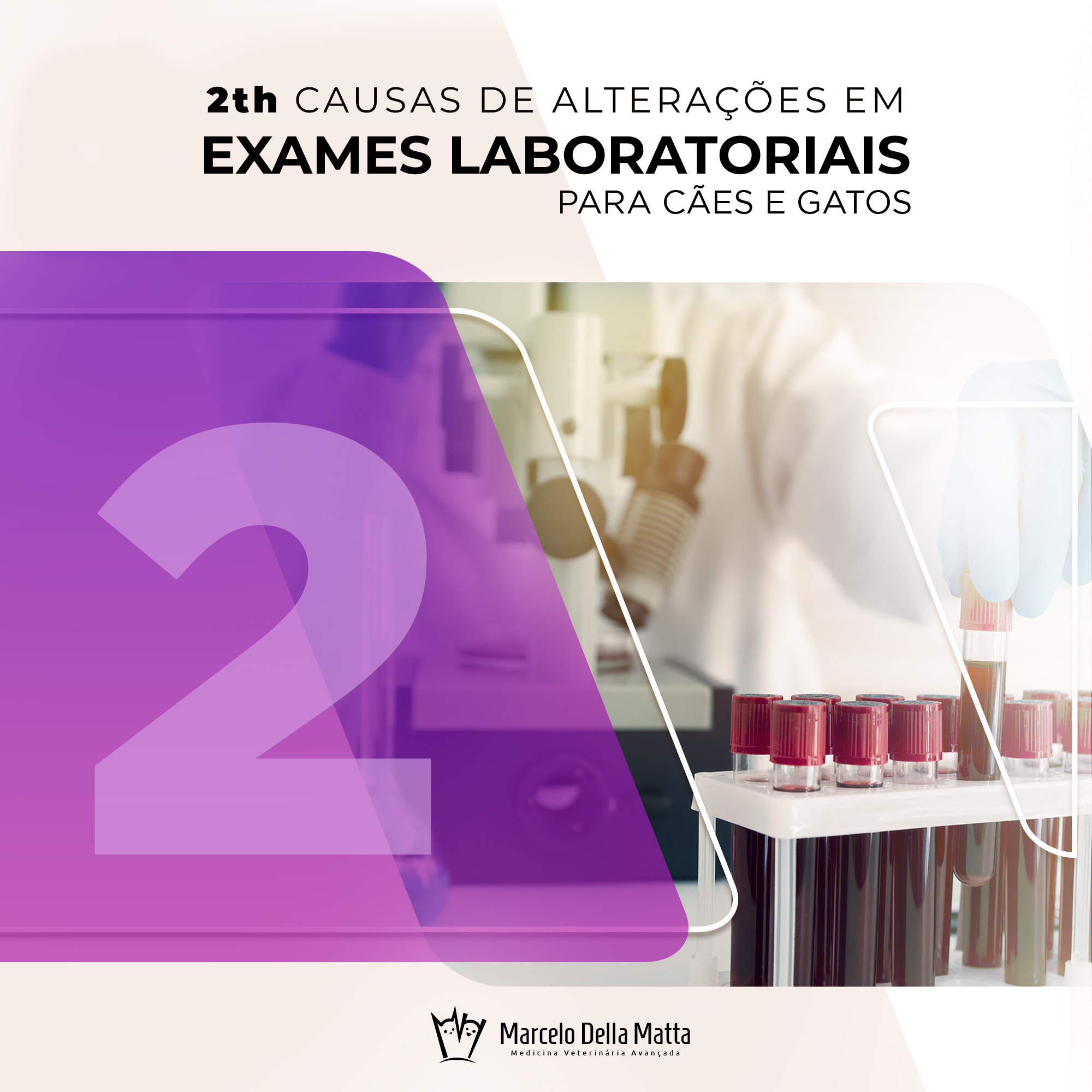 2º Ebook Exames Laboratoriais