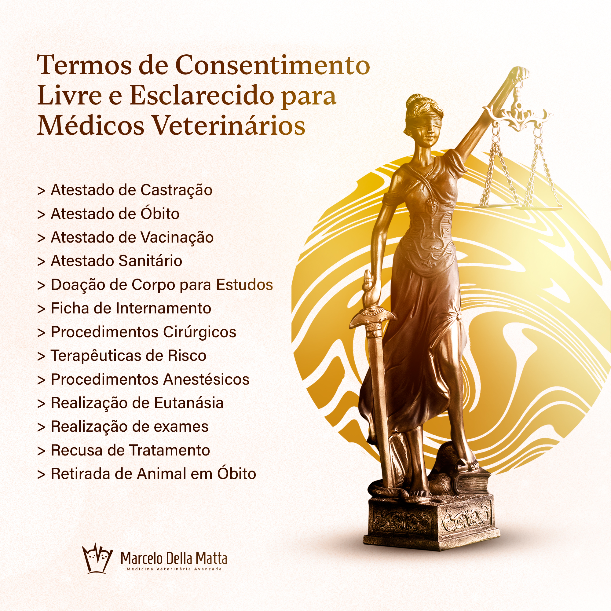 Termos de Consentimento