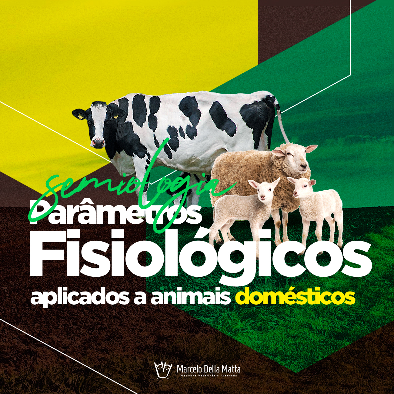 Semiologia Aplicada